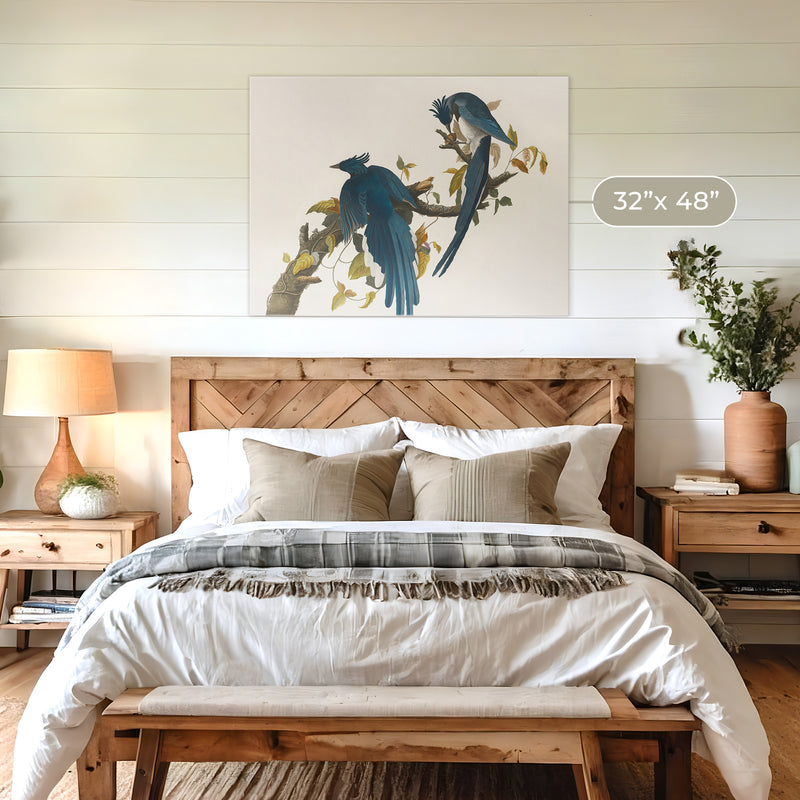 Jay Bird Artwork 2 - Sage and Rose Prints