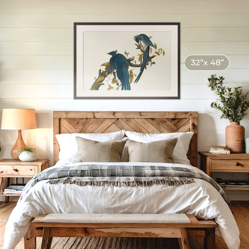 Jay Bird Artwork 2 - Sage and Rose Prints