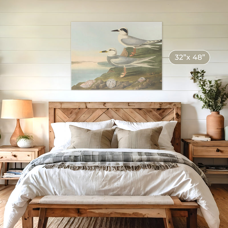 Seagull Artwork - Sage and Rose Prints