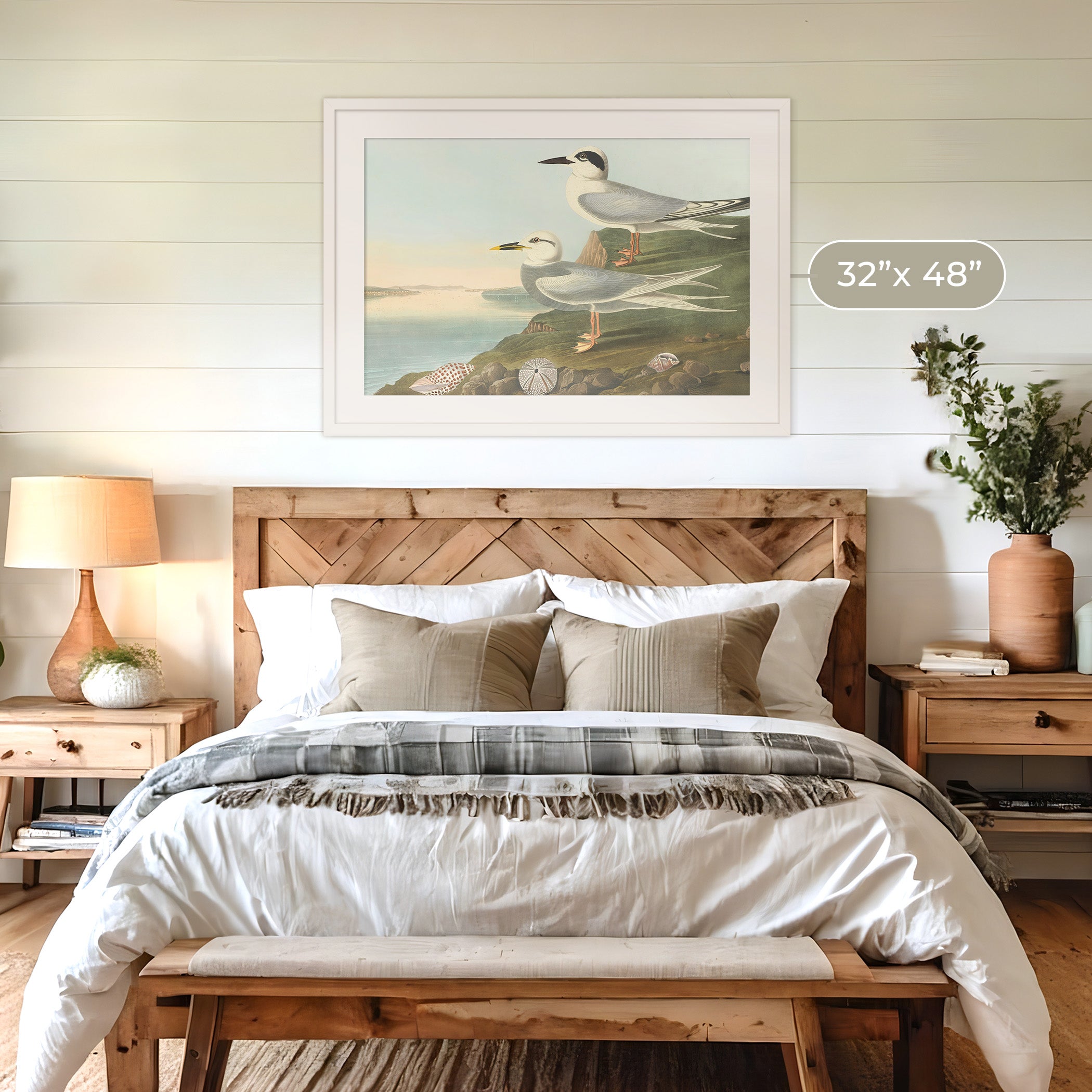 Seagull Artwork - Sage and Rose Prints