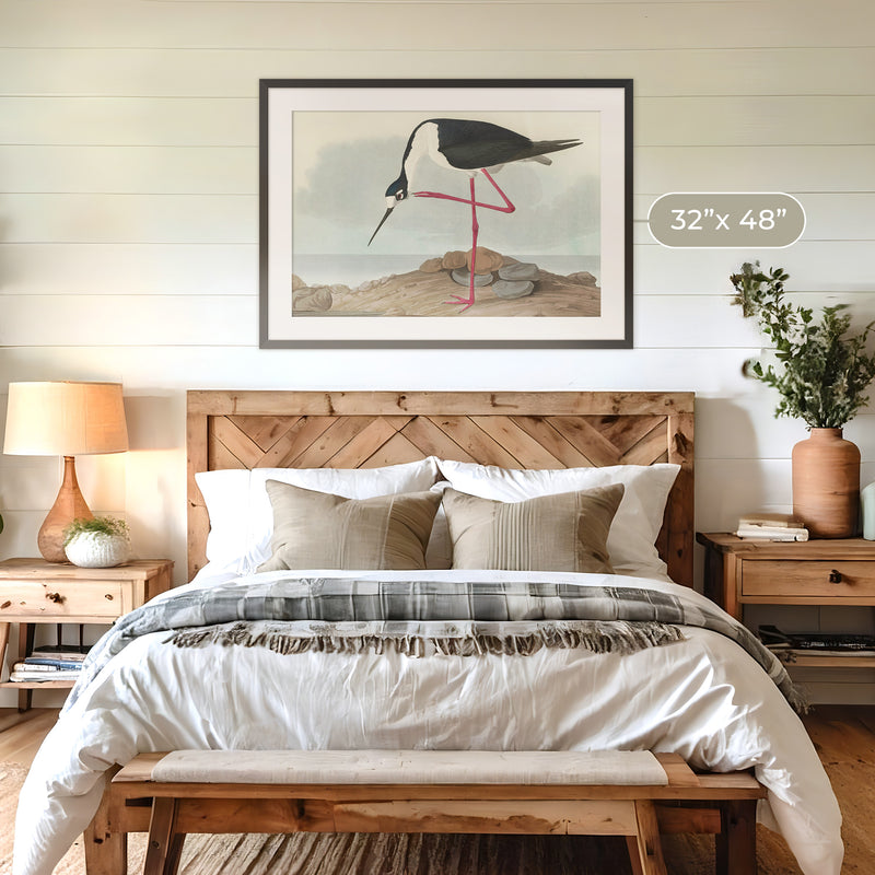 Black Necked Stilt Drawing - Sage and Rose Prints