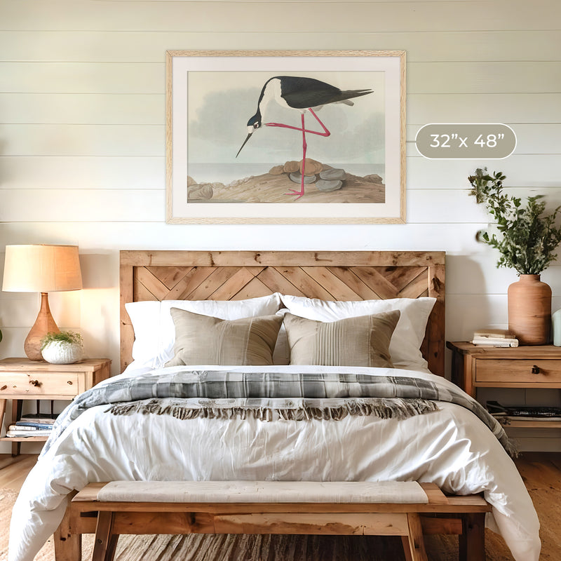 Black Necked Stilt Drawing - Sage and Rose Prints