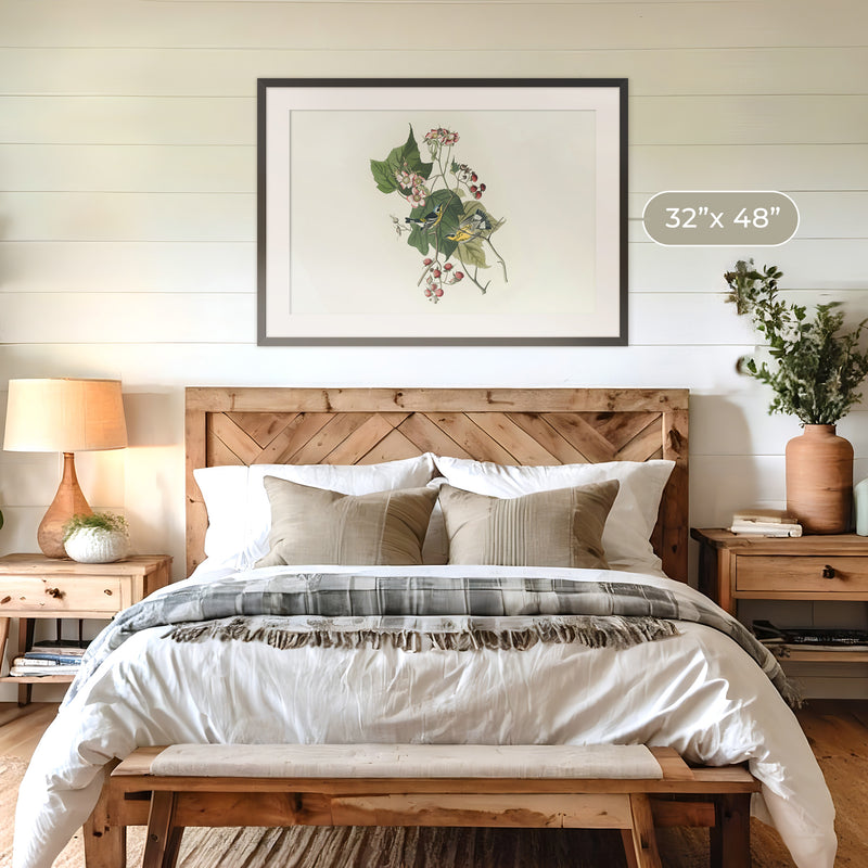 Black and Yellow Warbler Print 2 - Sage and Rose Prints