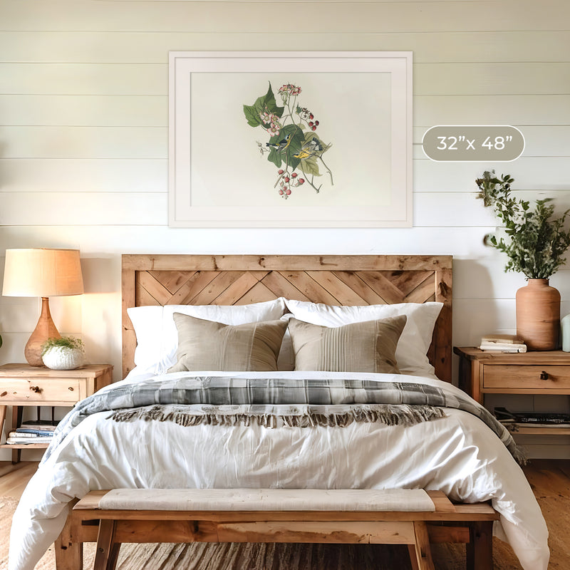 Black and Yellow Warbler Print 2 - Sage and Rose Prints