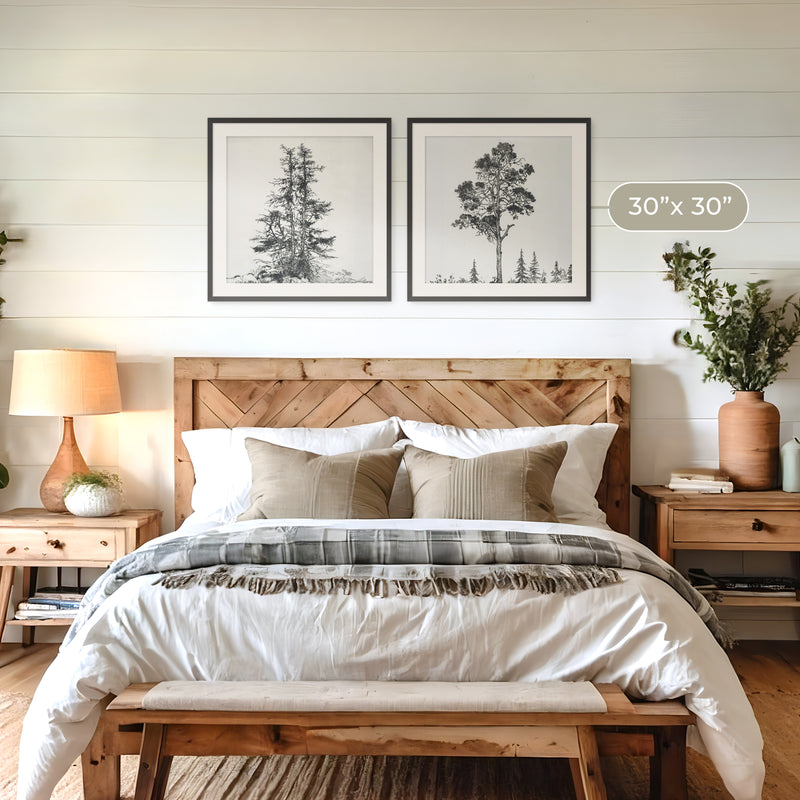 Black and White Trees 2 Panel Art Set - Sage and Rose Prints