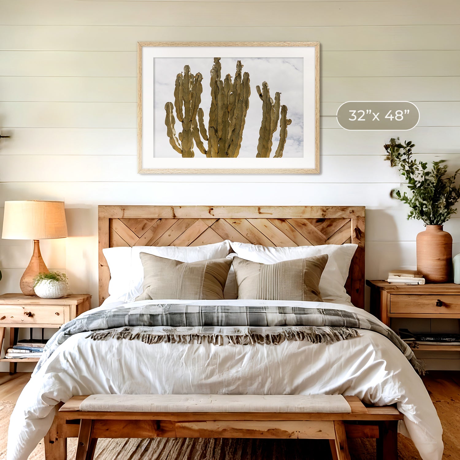 San Diego Cactus Photo - Sage and Rose Prints
