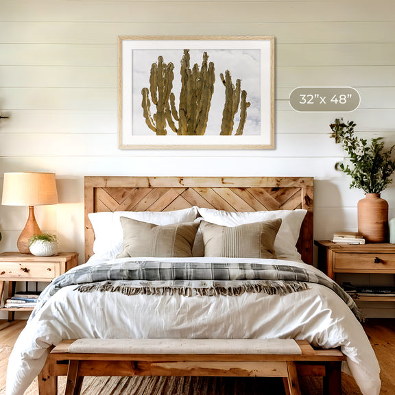 San Diego Cactus Photo - Sage and Rose Prints