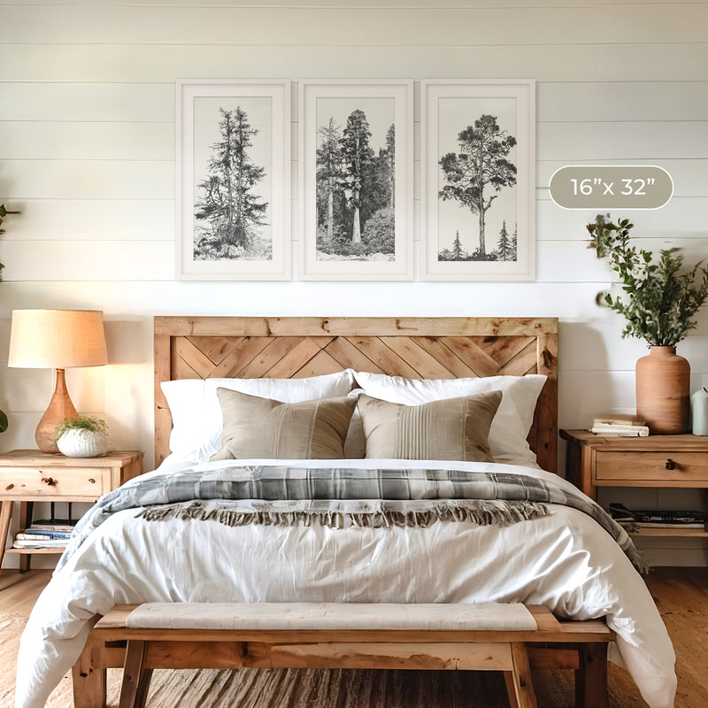Black and White Tree Illustration Triptych - Sage and Rose Prints