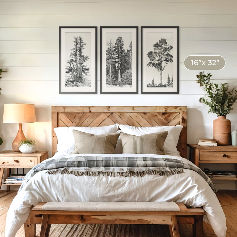 Black and White Tree illustration Triptych - Sage and Rose Prints