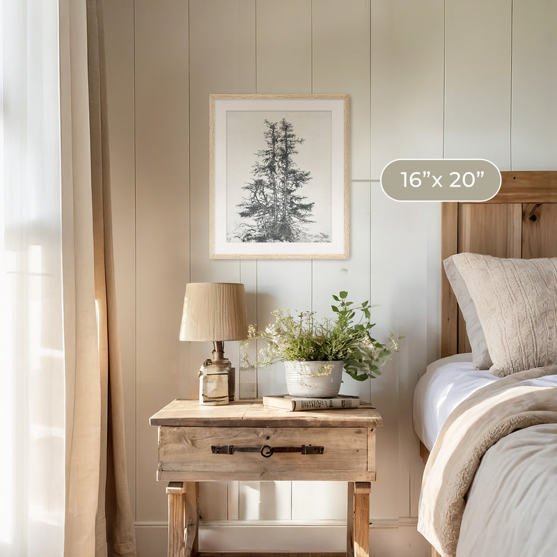 Black and White Tree Illustration No1 - Sage and Rose Prints