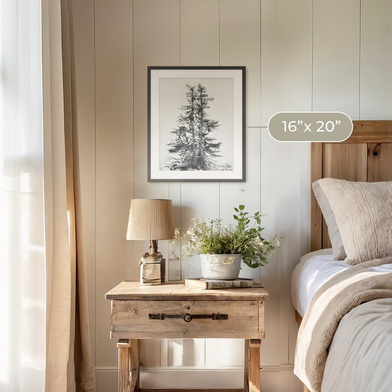Black and White Tree Illustration No1 - Sage and Rose Prints