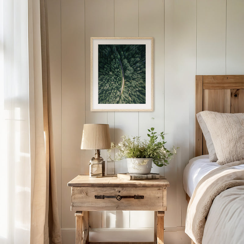 Evergreen Forest Canopy Photograph - Sage and Rose Prints