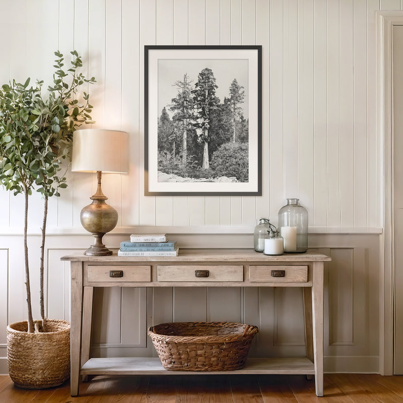 Black and White Tree Illustration No3 - Sage and Rose Prints