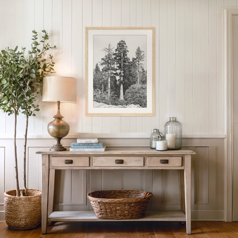 Black and White Tree Illustration No3 - Sage and Rose Prints