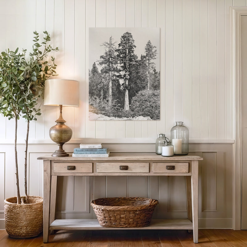 Black and White Tree Illustration No3 - Sage and Rose Prints