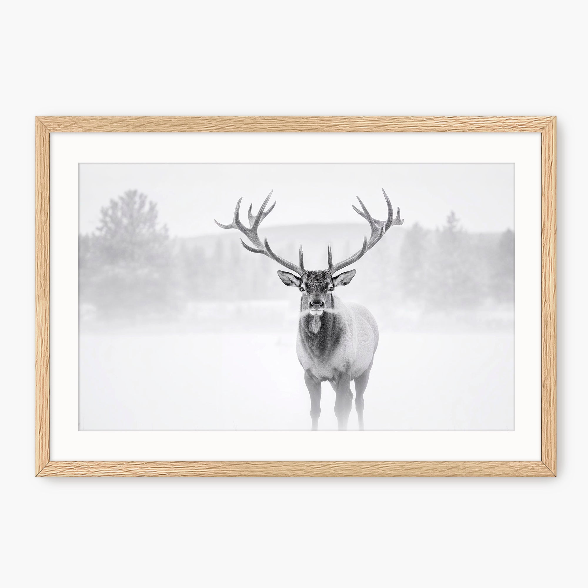 Deer in Winter Photo in Black and White - Sage and Rose Prints