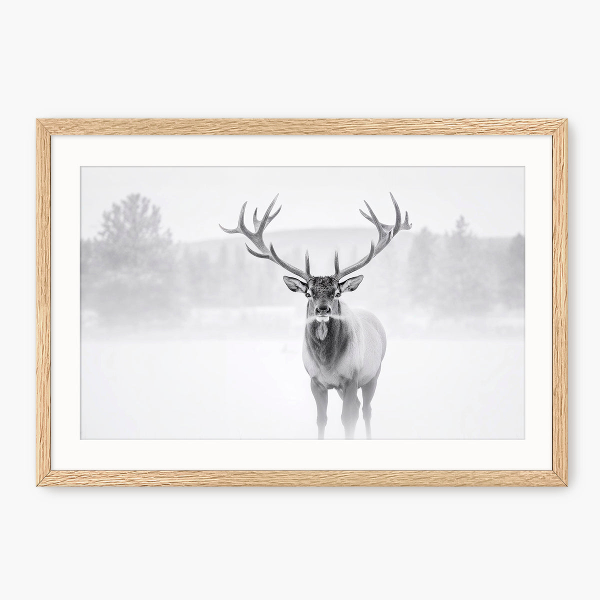 Deer in Winter Photo in Black and White - Sage and Rose Prints