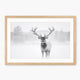 Deer in Winter Photo in Black and White