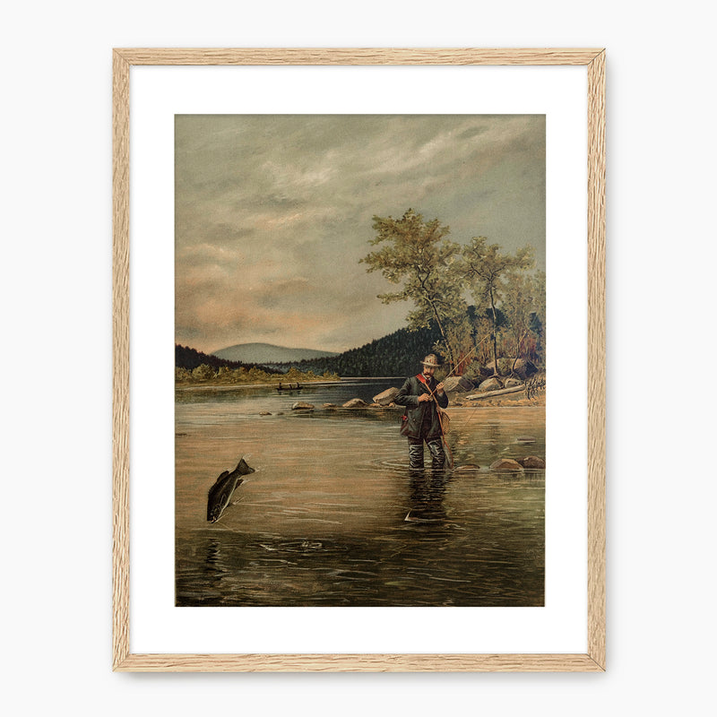Fly Fishing - Historic Print - Sage and Rose Prints