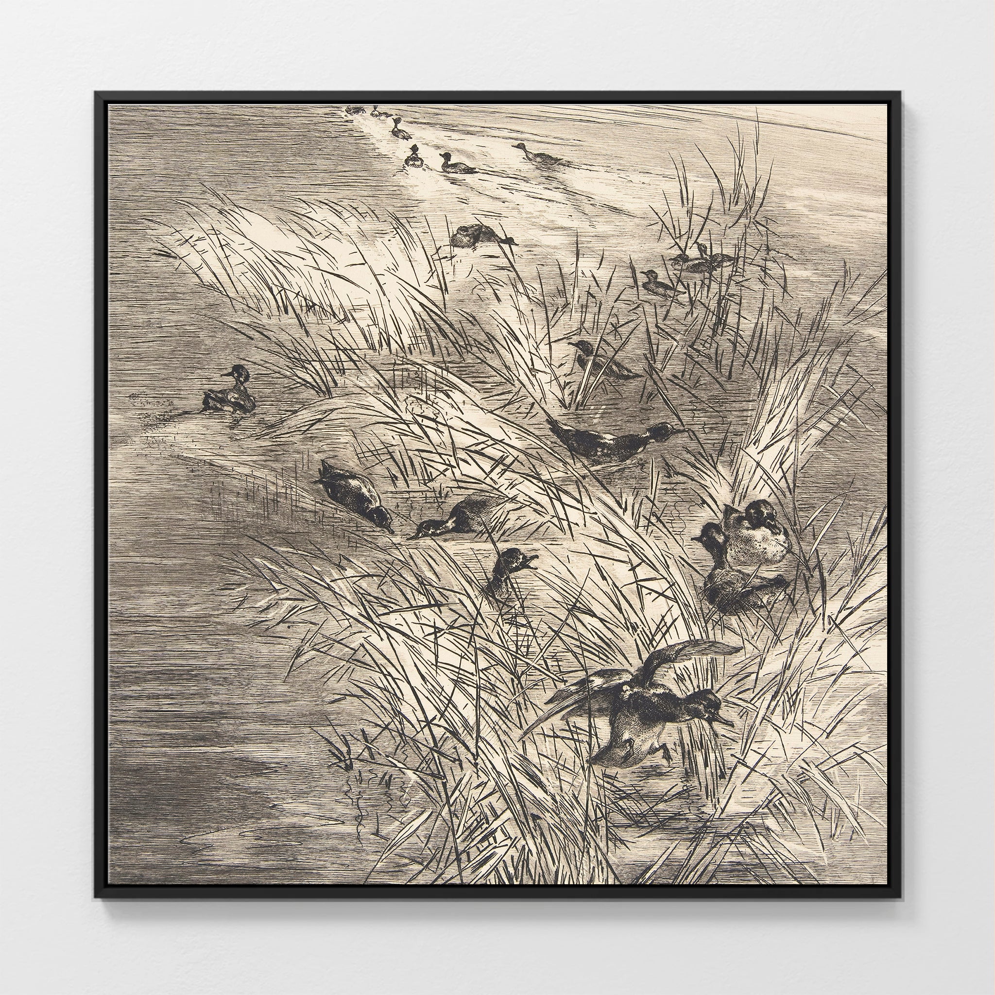 AK-25-Vintage Ducks Sketch C - Sage and Rose Prints
