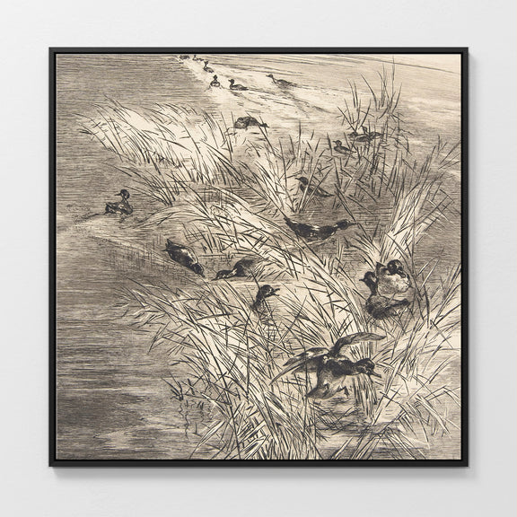 AK-25-Vintage Ducks Sketch C - Sage and Rose Prints