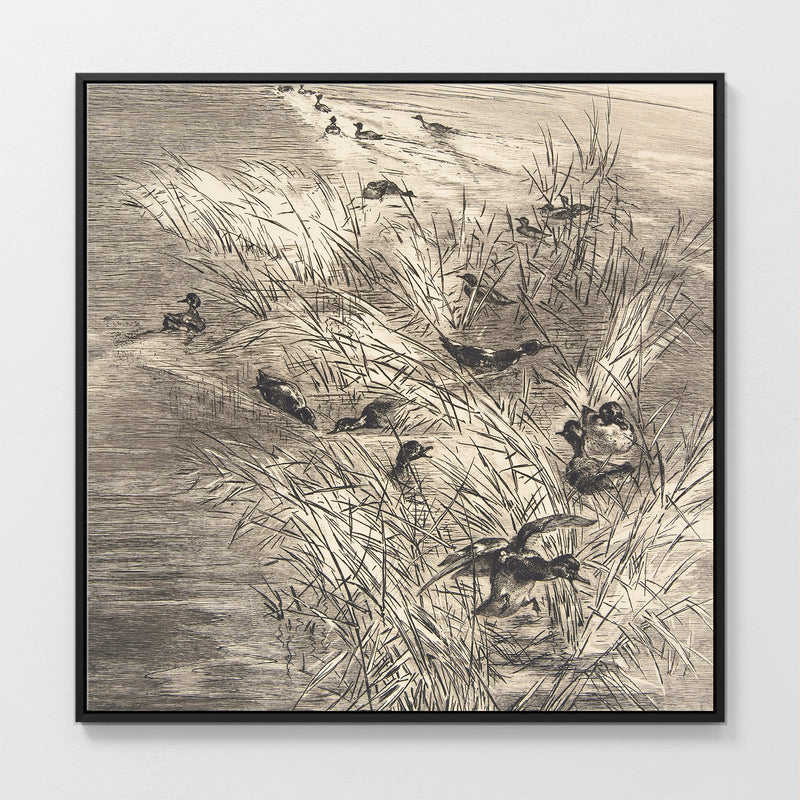 AK-25-Vintage Ducks Sketch C - Sage and Rose Prints