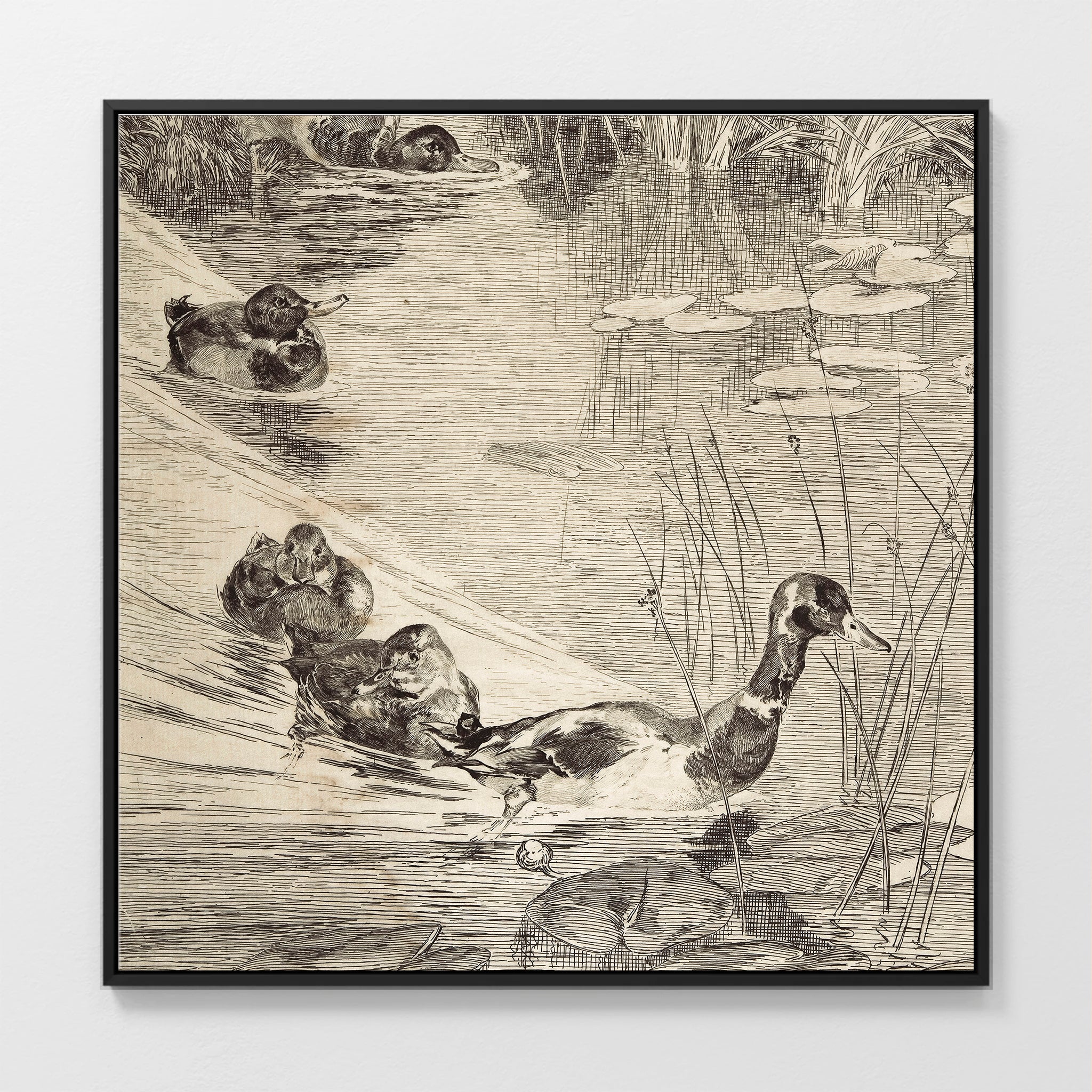 AK-24-Vintage Ducks Sketch B - Sage and Rose Prints