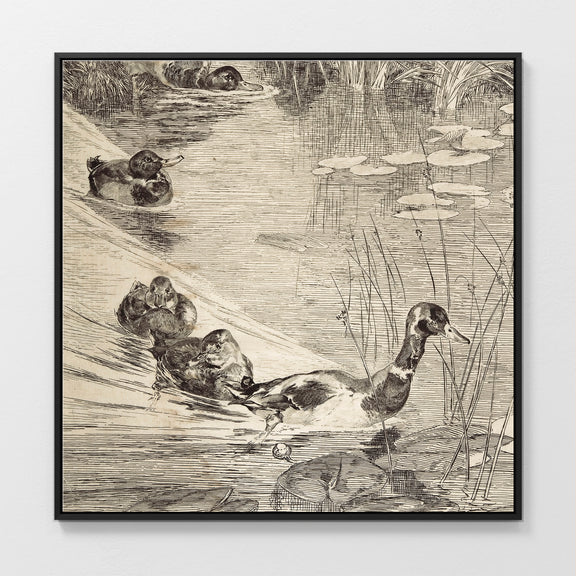 AK-24-Vintage Ducks Sketch B - Sage and Rose Prints