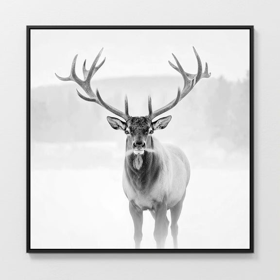 AK-31-Black and White photo of a deer in winter - Sage and Rose Prints