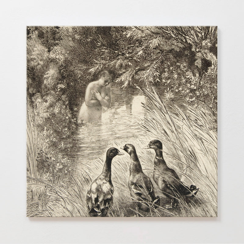 AK-23-Vintage Ducks Sketch A - Sage and Rose Prints