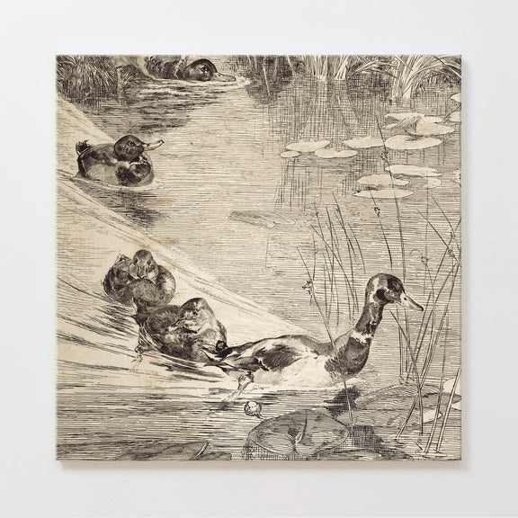 AK-24-Vintage Ducks Sketch B - Sage and Rose Prints