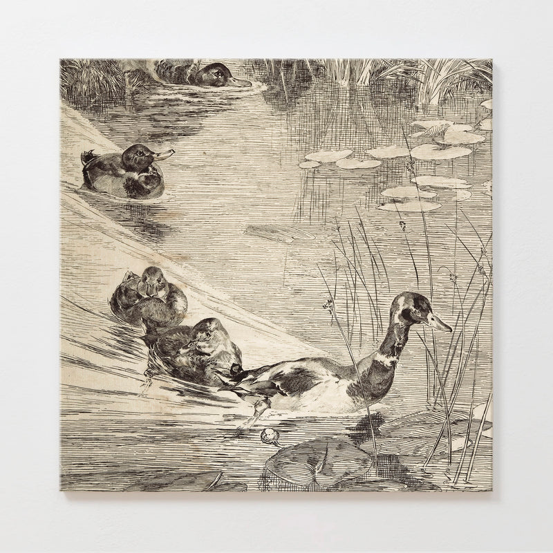 AK-24-Vintage Ducks Sketch B - Sage and Rose Prints