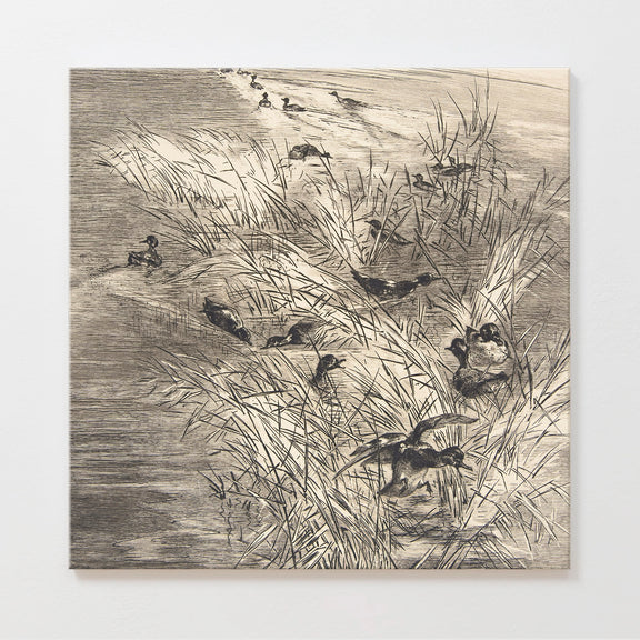 AK-25-Vintage Ducks Sketch C - Sage and Rose Prints