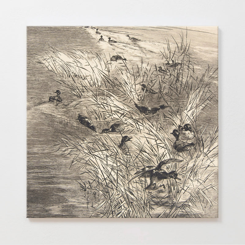 AK-25-Vintage Ducks Sketch C - Sage and Rose Prints