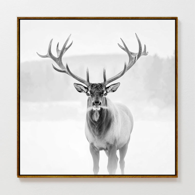 AK-31-Black and White photo of a deer in winter - Sage and Rose Prints