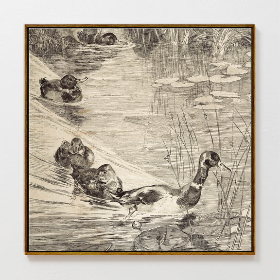 AK-24-Vintage Ducks Sketch B - Sage and Rose Prints