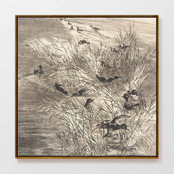 AK-25-Vintage Ducks Sketch C - Sage and Rose Prints