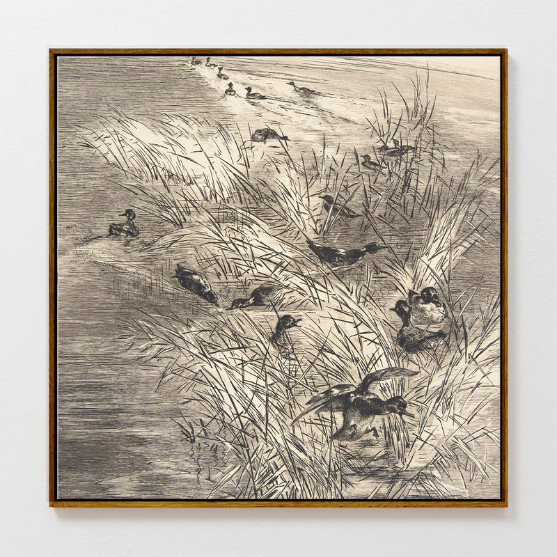 AK-25-Vintage Ducks Sketch C - Sage and Rose Prints