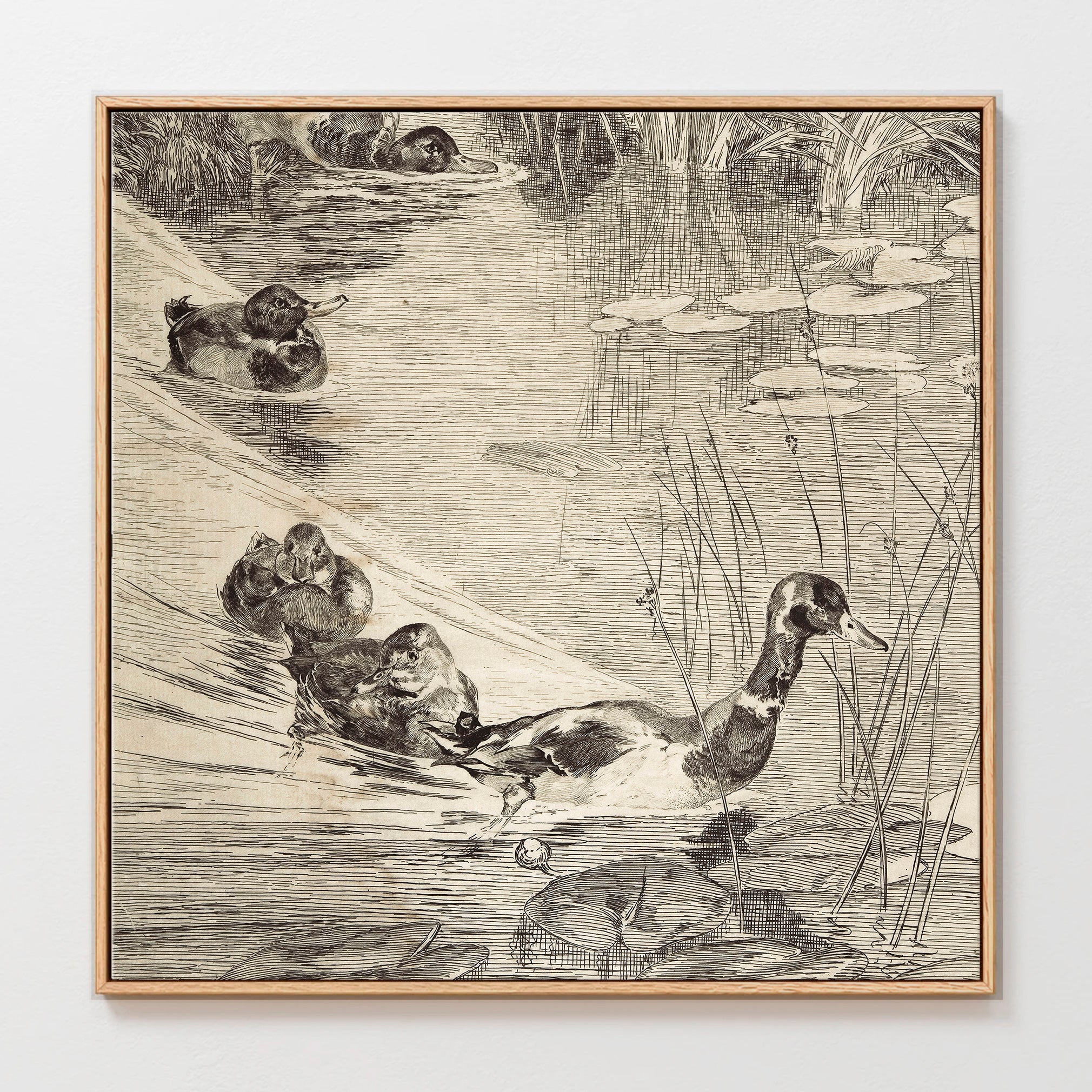 AK-24-Vintage Ducks Sketch B - Sage and Rose Prints