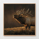 AK-19-Moody Elk Wildlife Painting - Sage and Rose Prints