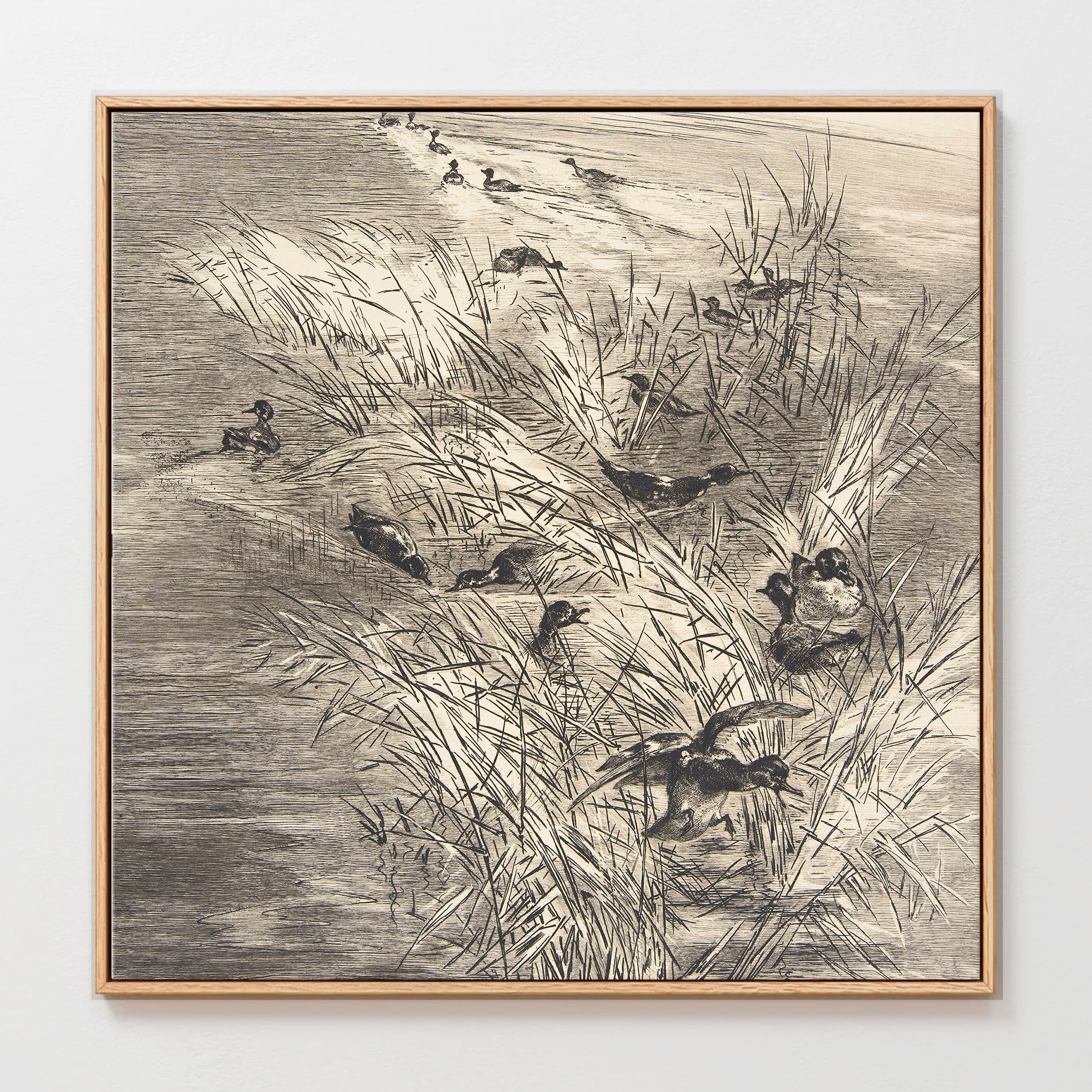 AK-25-Vintage Ducks Sketch C - Sage and Rose Prints