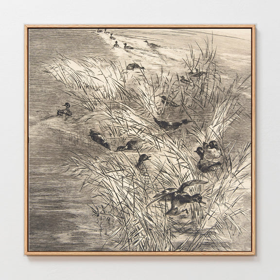 AK-25-Vintage Ducks Sketch C - Sage and Rose Prints