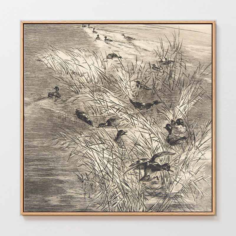 AK-25-Vintage Ducks Sketch C - Sage and Rose Prints
