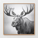 AK-17 Black and White Vintage Moose Photograph - Sage and Rose Prints