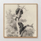 43 - Vintage Bears in a Tree Sketch - Sage and Rose Prints