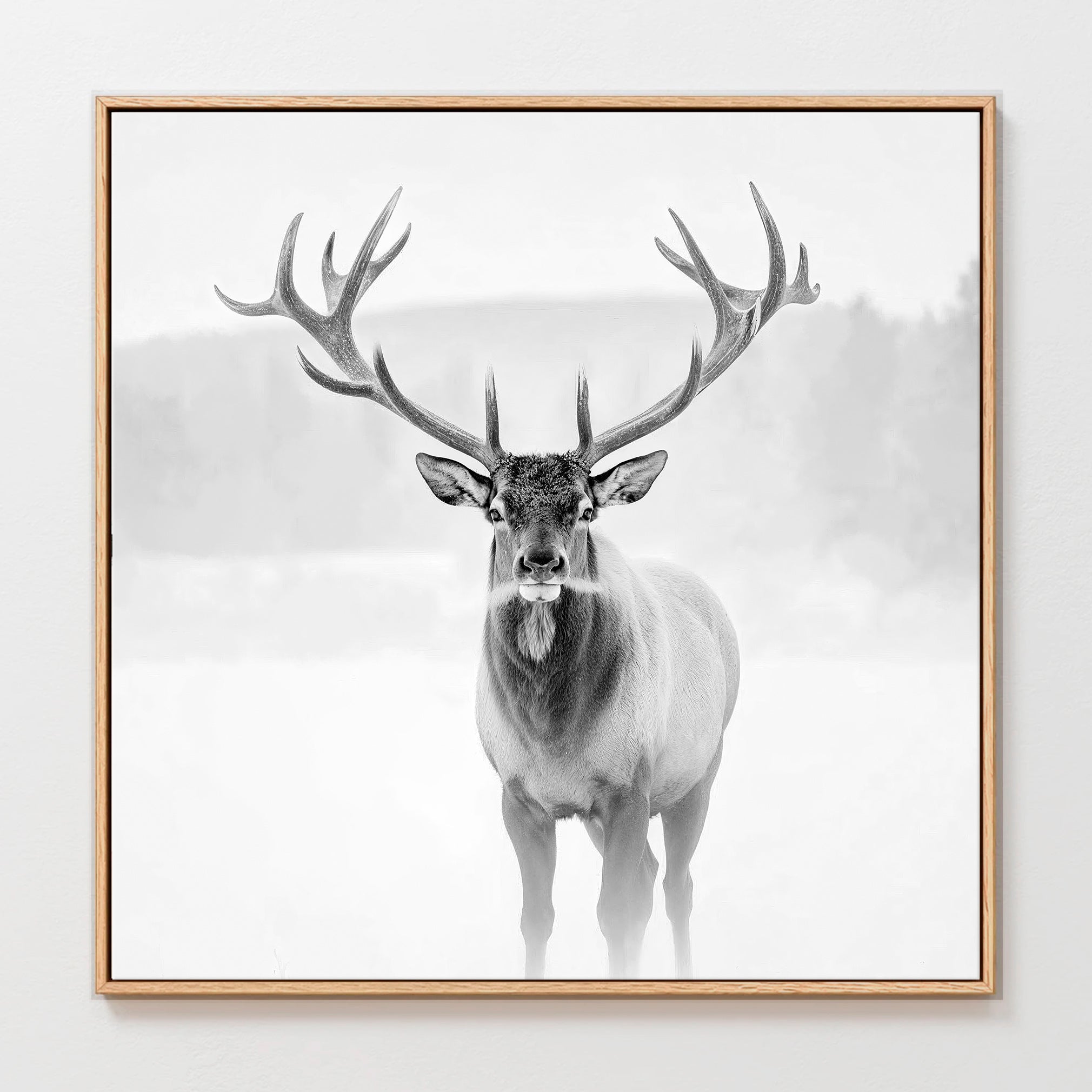AK-31-Black and White photo of a deer in winter - Sage and Rose Prints