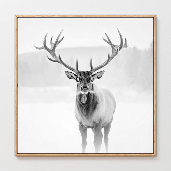 AK-31-Black and White photo of a deer in winter - Sage and Rose Prints