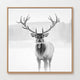 AK-31-Black and White photo of a deer in winter - Sage and Rose Prints