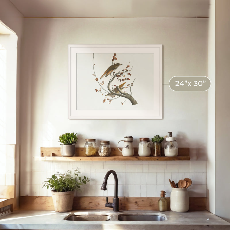 Naturalist Bird Print No2 - Sage and Rose Prints