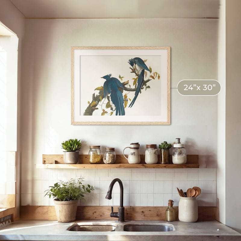 Jay Bird Artwork 2 - Sage and Rose Prints